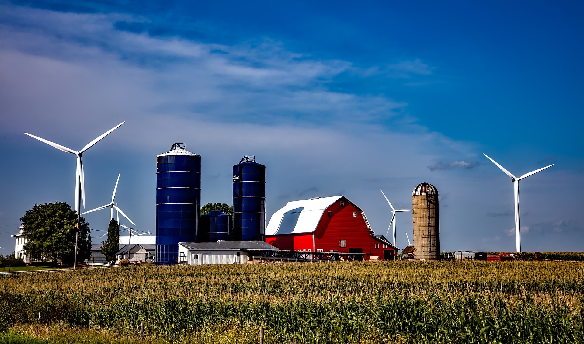 Landwirtschaft Image